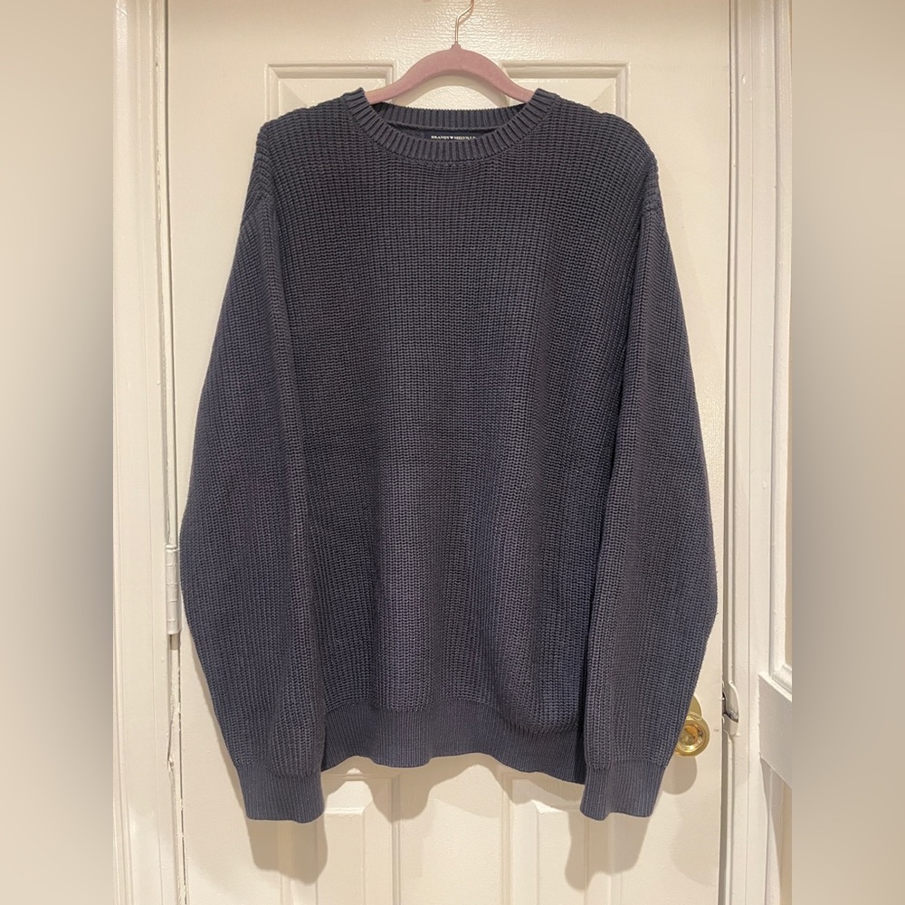 Brandy Melville Dolphin Blue Crewneck Sweater